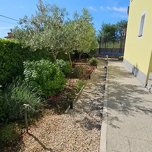 Jana Apartment Salatić